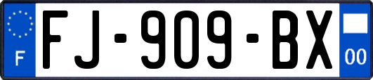 FJ-909-BX