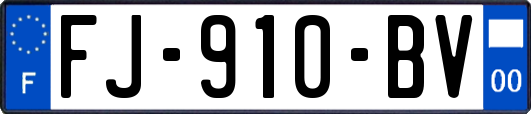 FJ-910-BV