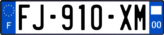 FJ-910-XM