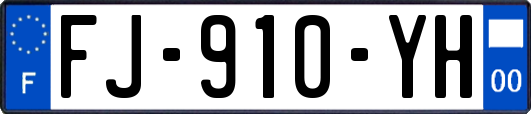 FJ-910-YH
