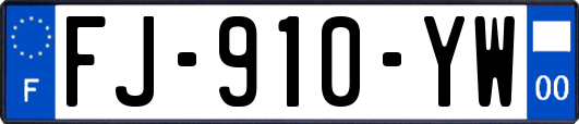 FJ-910-YW