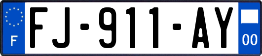 FJ-911-AY