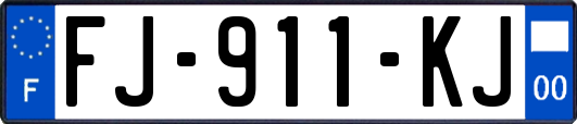 FJ-911-KJ