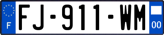 FJ-911-WM