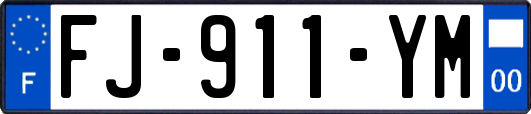 FJ-911-YM