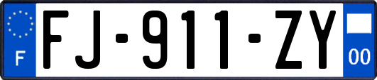 FJ-911-ZY