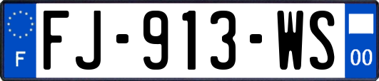 FJ-913-WS