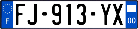 FJ-913-YX