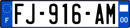 FJ-916-AM