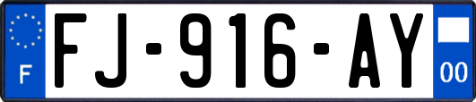 FJ-916-AY