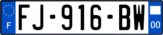 FJ-916-BW