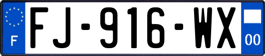 FJ-916-WX