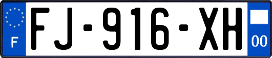 FJ-916-XH