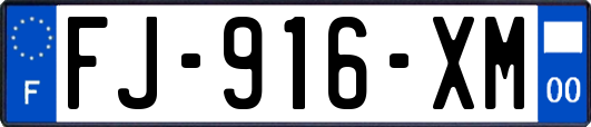 FJ-916-XM