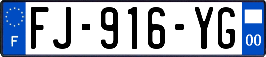 FJ-916-YG