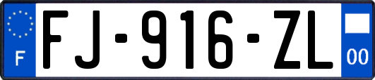 FJ-916-ZL