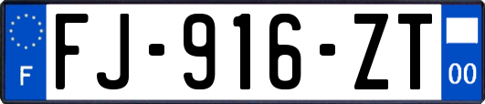 FJ-916-ZT