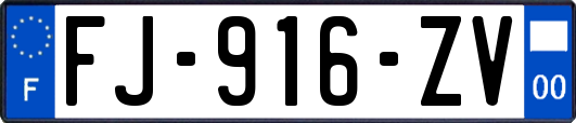 FJ-916-ZV