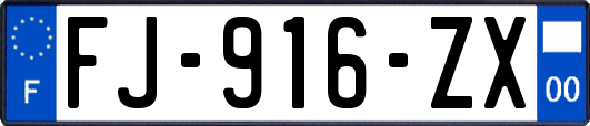 FJ-916-ZX