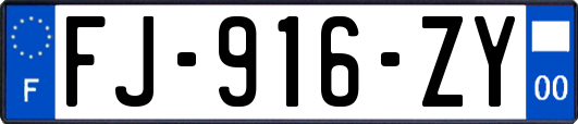 FJ-916-ZY