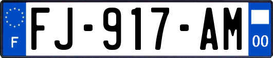 FJ-917-AM