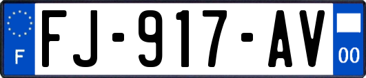 FJ-917-AV