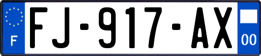 FJ-917-AX