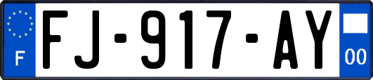 FJ-917-AY