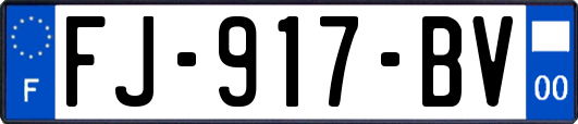 FJ-917-BV