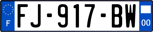 FJ-917-BW