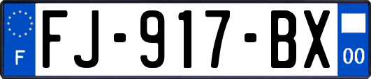 FJ-917-BX