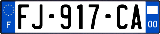 FJ-917-CA