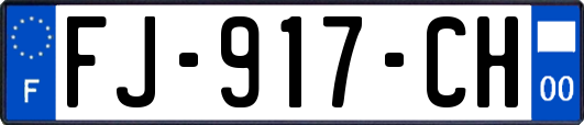 FJ-917-CH