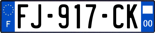 FJ-917-CK
