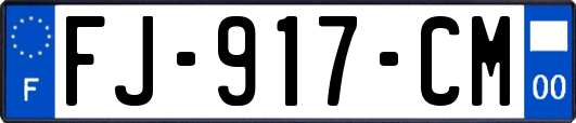 FJ-917-CM