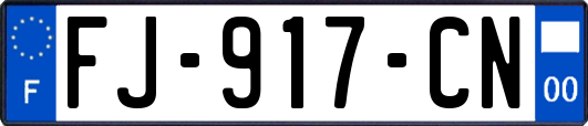 FJ-917-CN