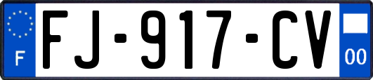 FJ-917-CV