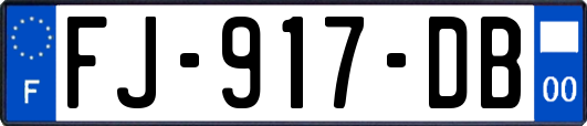 FJ-917-DB