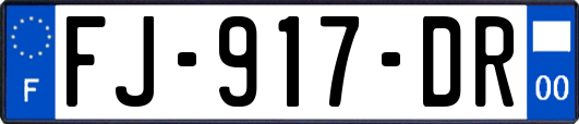FJ-917-DR
