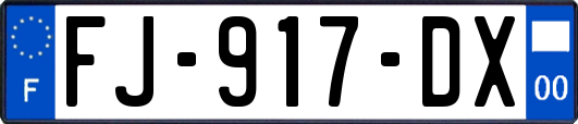 FJ-917-DX