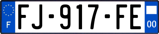 FJ-917-FE