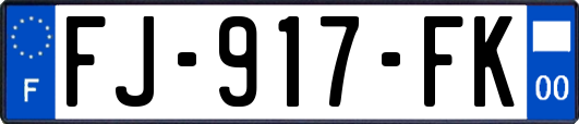 FJ-917-FK