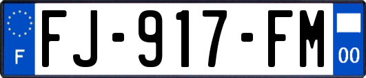 FJ-917-FM