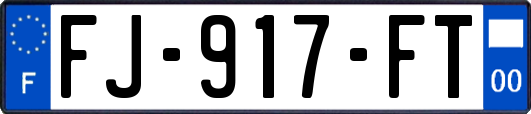 FJ-917-FT