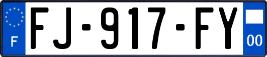 FJ-917-FY