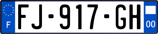 FJ-917-GH