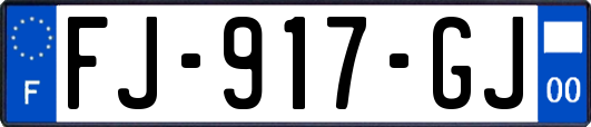 FJ-917-GJ