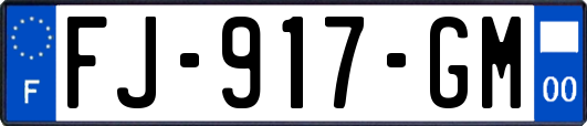FJ-917-GM