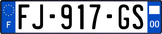 FJ-917-GS