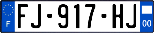 FJ-917-HJ